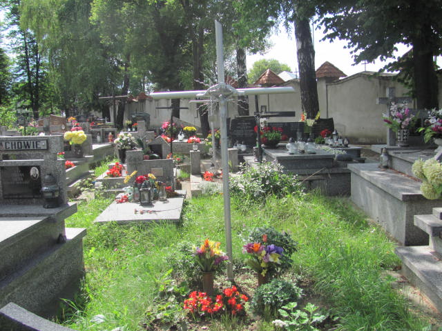  NN Wojnicz - Grobonet - Wyszukiwarka osób pochowanych