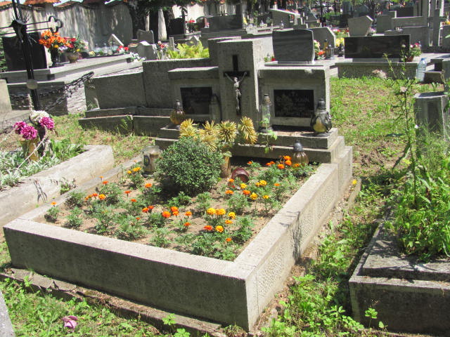 Grób Zofia Sosin