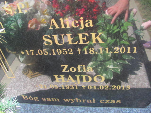 Zofia Hajdo 1931 Wojnicz - Grobonet - Wyszukiwarka osób pochowanych