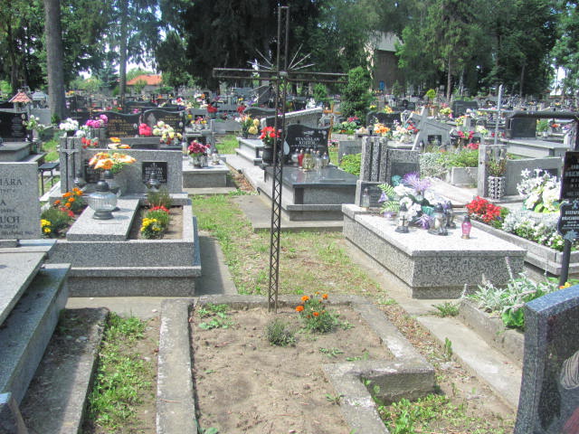 Andrzej Bachara 1872 Wojnicz - Grobonet - Wyszukiwarka osób pochowanych