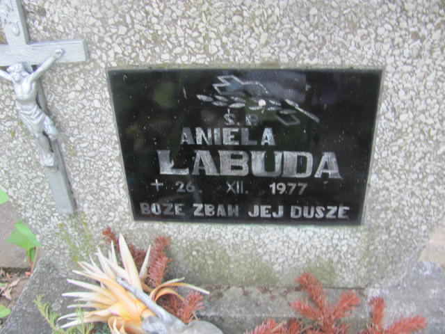 Aniela Łabuda Wojnicz - Grobonet - Wyszukiwarka osób pochowanych