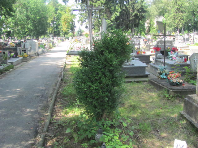 Agnieszka Strojna 1870 Wojnicz - Grobonet - Wyszukiwarka osób pochowanych