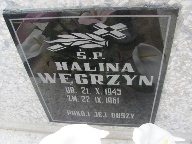 Halina Węgrzyn 1945 Wojnicz - Grobonet - Wyszukiwarka osób pochowanych